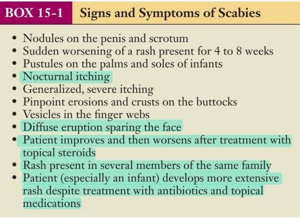 گال (scabies)